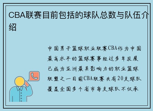CBA联赛目前包括的球队总数与队伍介绍